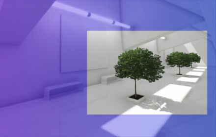 tree growing out of floor with purple overlay
